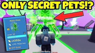 BEATING Clicker Simulator Using only Secret Pets Roblox [upl. by Andy]