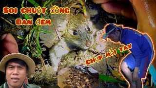 Soi Chuột Đồng Ban Đêm  Thọ tv [upl. by Marelya]