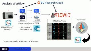 Using BD FACSDiscover™ S8 Cell Sorter Data Data Management and High Dimensional Analysis Nov 7 24 [upl. by Narbig]