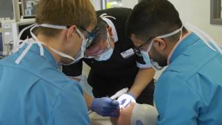 Advice to students applying to study dentistry at Manchester [upl. by Llenwahs]