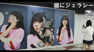 あいみょん 猫にジェラシー ドラマ 降り積もれ孤独な死よ 成田凌 あいみょん ざらめ aimyon live あいみょん 会いに行くのに あいみょん 新曲 아이묭 新宿 warner japan [upl. by Hanser]