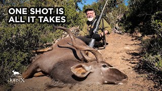 One Shot is All it Takes  Kudu Hunt  John X Safaris [upl. by Llerej]