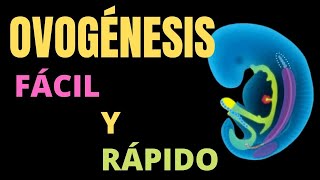 OVOGÉNESIS Fácil y rápido [upl. by Susana]