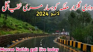 murree Nathia gali live today  murree weather today  nathiagali murree Snowfall update 2024 [upl. by Lussi98]