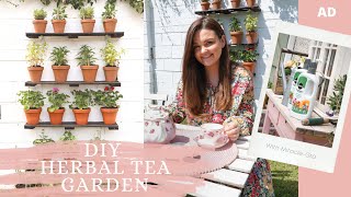 DIY Herbal Tea Garden With MiracleGro [upl. by Ashlen]