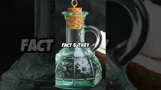 7 Amazing Facts About Coconuts You Didnt know facts shorts fruit coconut nature didyouknow [upl. by Aniret]