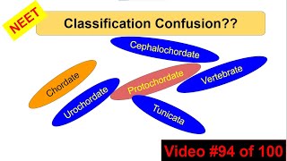 NEET 2024 FAQ Animal kingdom  All vertebrates are chordates but all chordates are not vertebrates [upl. by Ahseim]