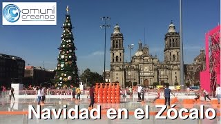 Navidad en el Zócalo [upl. by Ecinert]