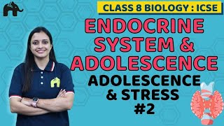 Endocrine System amp Adolescence Class 8 ICSE Biology Chapter 5  Selina  Adolescence amp Stress 2 [upl. by Brittaney]