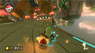 Mario Kart 8 Dragon Driftway 1080 HD [upl. by Struve]