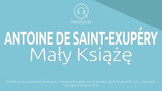 MAŁY KSIĄŻĘ – Antoine de SaintExupery  streszczenie i opracowanie lektury  audiobook nauqa [upl. by Nivre]