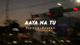 Aaya na tu slowedreverb [upl. by Barstow]