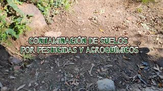 Contaminación de suelos por pesticidas y agroquímicos  Equipo 2 grupo 515 [upl. by Molini]