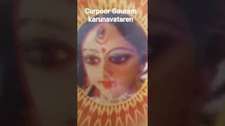 Karpur Gauram karunavtaram Sansar Saram bhujagendra Haram shorts video Jay Mata Di jai man surge [upl. by Schulze510]