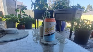 Beddy Rays Hazy Pale review Green Beacon Brewing mix [upl. by Dibri]