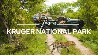 Kruger National Park South Africa  Safari365 [upl. by Lymn]