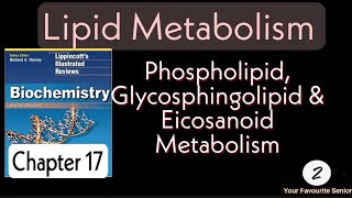 Lippincott Biochemistry  Chapter 18  Lipid Metabolism [upl. by Llirret]