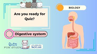 Biology Quiz Digestive System for High school amp college  IGCSE MCQs for Exam or Test 15 Questions [upl. by Musa]