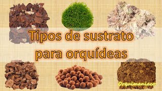 Tipos de sustrato para orquídeas [upl. by Llerrac]