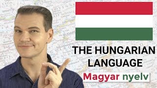 MAGYAR NYELV The Hungarian Language is MINDBLOWING [upl. by Mignon]