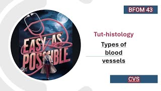 Tut  Histology  Types of blood vessels CVS [upl. by Aryas]