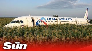 Inflight video of bird strike amp emergency landing  Ural A321 [upl. by Deering286]