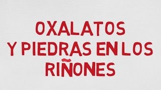 OXALATOS DE LOS ALIMENTOS Y PIEDRAS EN LOS RIÑONES [upl. by Cthrine]