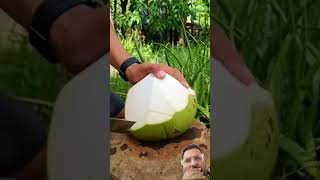 Coconut coconut satisfying oddlysatisfying fruit food 2024 nature great top reels [upl. by Aciraj]