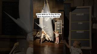 One Of The Best Aquariums In The US PART 2 aquarium wildlife marinelife twinmom [upl. by Lodhia]