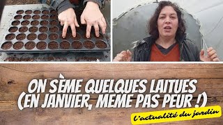 👩‍🌾 Je sème les premières laitues de la saison [upl. by Salim95]