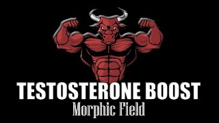 HUGE TESTOSTERONE BOOST  MORPHIC FIELD [upl. by Beaver]