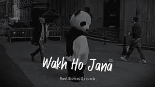 Wakh Ho Janaslowedreverb  Reet [upl. by Ravahs]