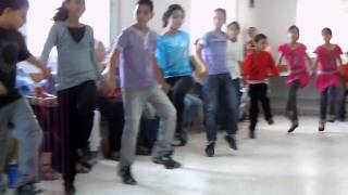 Palestinian Children of alAroub Refugee Camp dance for the Compassionate Listening Project [upl. by Onil]