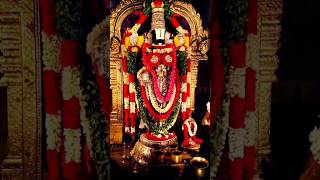 Gobindaaaancsusanta viralreels tirumala [upl. by Eizzil788]