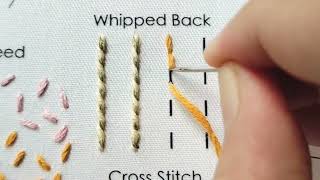 Whipped Back Stitch [upl. by Knuth735]