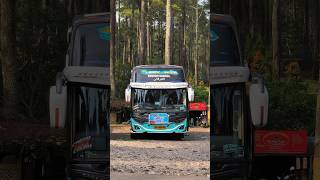 cinematic bus kalebas galaxyx amp queen allifa kumpulanstorywacinematicbus storywabus30detik [upl. by Slack]