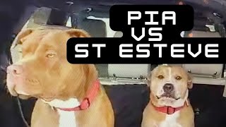 Pia vs St Esteve [upl. by Airakaz]