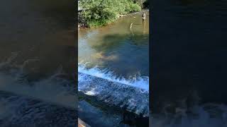 millheim bridge on elk Creek ducks and strange dam with a small canal [upl. by Charters519]