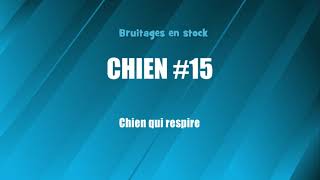 CHIEN 15 Chien qui respire bruitage gratuit [upl. by Melise376]