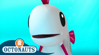 Octonauts  🍥 The Oarfish 🐉  Season 1  Full Episodes  Cartoons for Kids [upl. by Hareehahs]