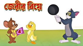 Tom and Jerry । Tom and Jerry Bangla । Tom and Jerry cartoon । cartoon । tom and jerry tom and jerry [upl. by Piggy]