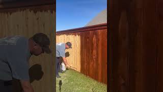 Staining a fence with a pump sprayer diy fencestaining fencecartel [upl. by Hannavahs]