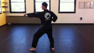 World Tang Soo Do form 3full speed [upl. by Budge]