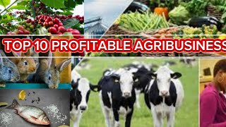 BEST 10 AGRIBUSINESSES THAT CAN EARN YOU MILLIONS OF MONEY Smartfarmingug agriculture [upl. by Prue]