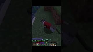 Veritable Proof of Crimes minecraft minecraftsmp [upl. by Verene]