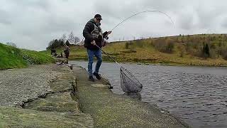 231 Flies That Catch Rod Bending Trout  Fly Fishing UK [upl. by Llerrod]