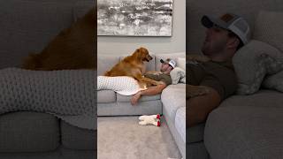 Saying my dogs favorite words in my sleep [upl. by Alphard]