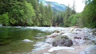 my brother shane fishing in chehalis river [upl. by Yesdnyl]