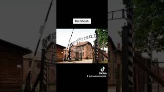 The Shoah A poem dedicated to the victims of tyrannical Ideologies [upl. by Nellac]