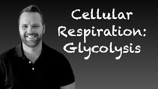 Cellular Respiration Glycolysis and Anaerobic Fermentation for AP Biology and College Biology [upl. by Yesrej]